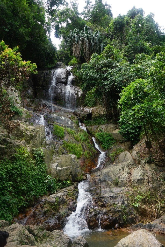 DSC02694