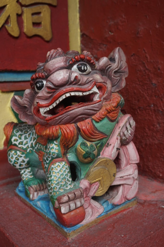 DSC04155